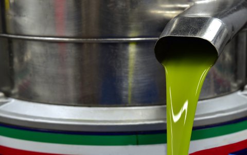 El aceite de oliva virgen sin filtrar tiene efectos antihipertensivos